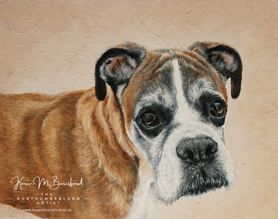 Acrylic painting of a Fawn Boxer dog
