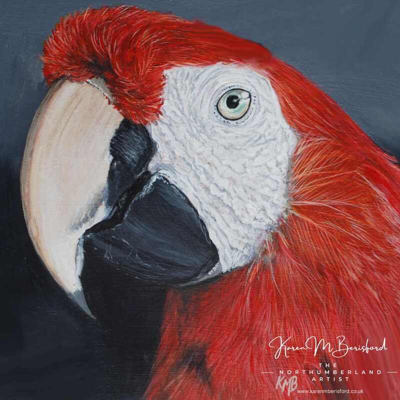 Scarlet Macaw in acrylics