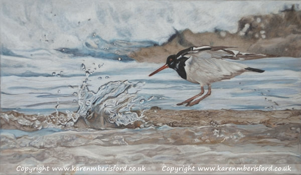 Oystercatcher in coloured pencils
