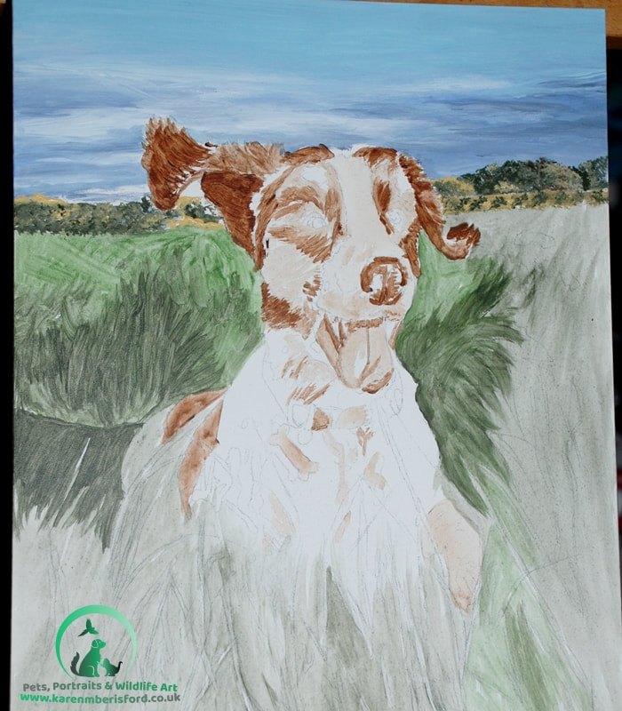 Base layers of a springer spaniel acrylic painting