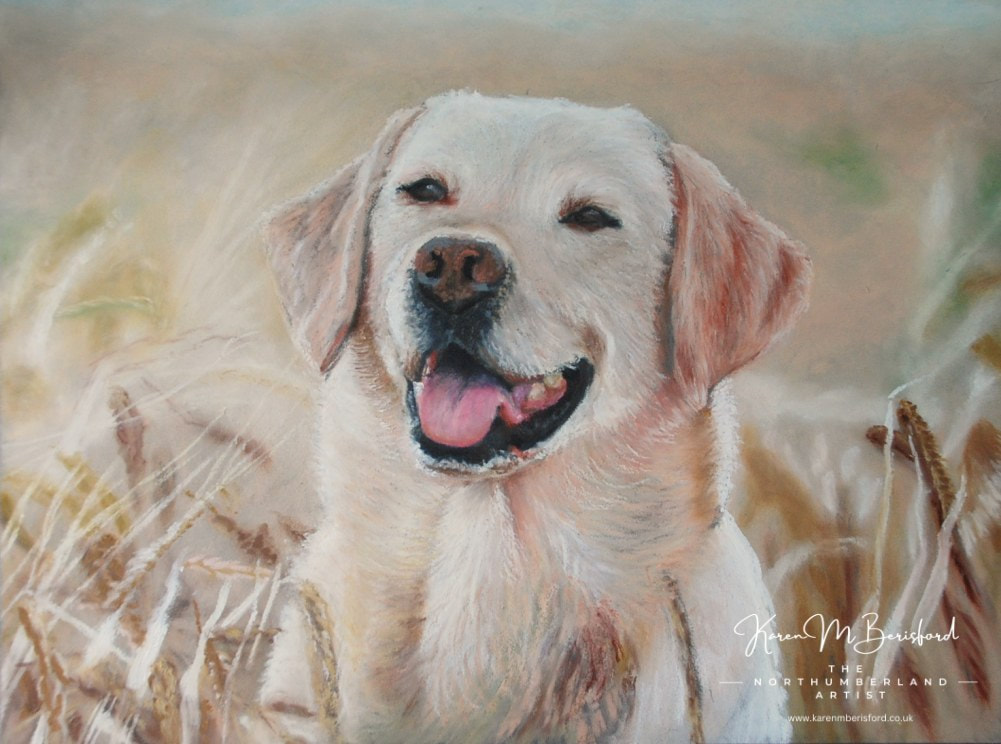 Oil pastel painting of a Yellow Labrador in a wheat field
