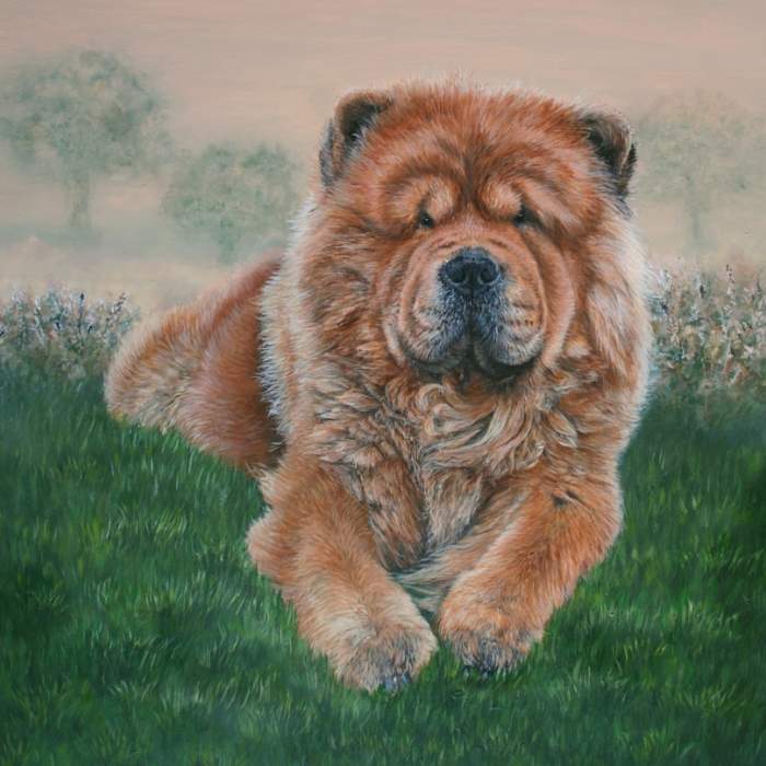 Star the Chow Chow acrylic painting