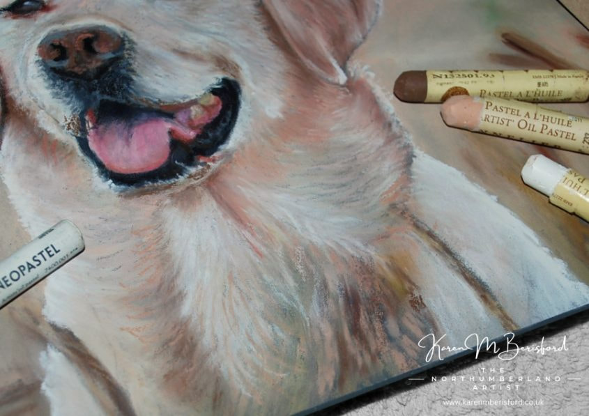Yellow Labrador oil pastel painting on Ampersand Pastelbord and Sennelier oil pastels