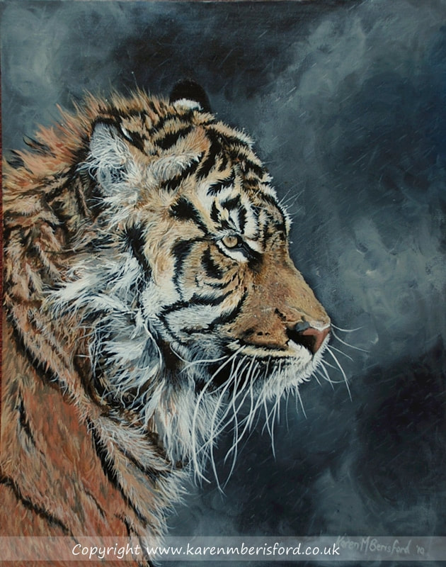 sumatran tiger in acrylics on canvas