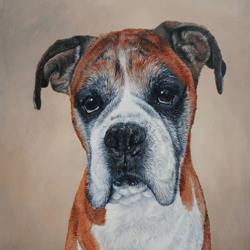 Tank the Fawn Boxer dog acrylic painting