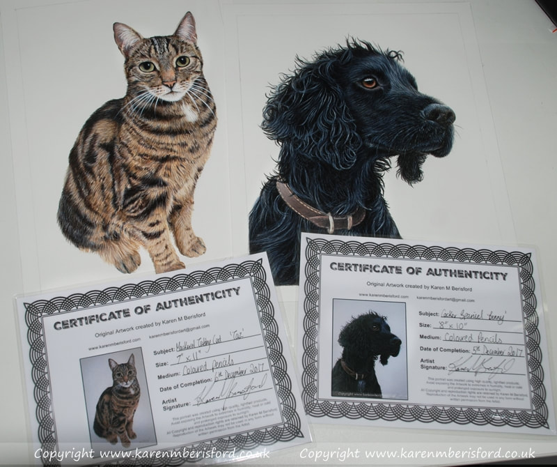 Mackerel Cat and Black Cocker Spaniel portraits in Coloured pencils with their Certificate of Authenticity