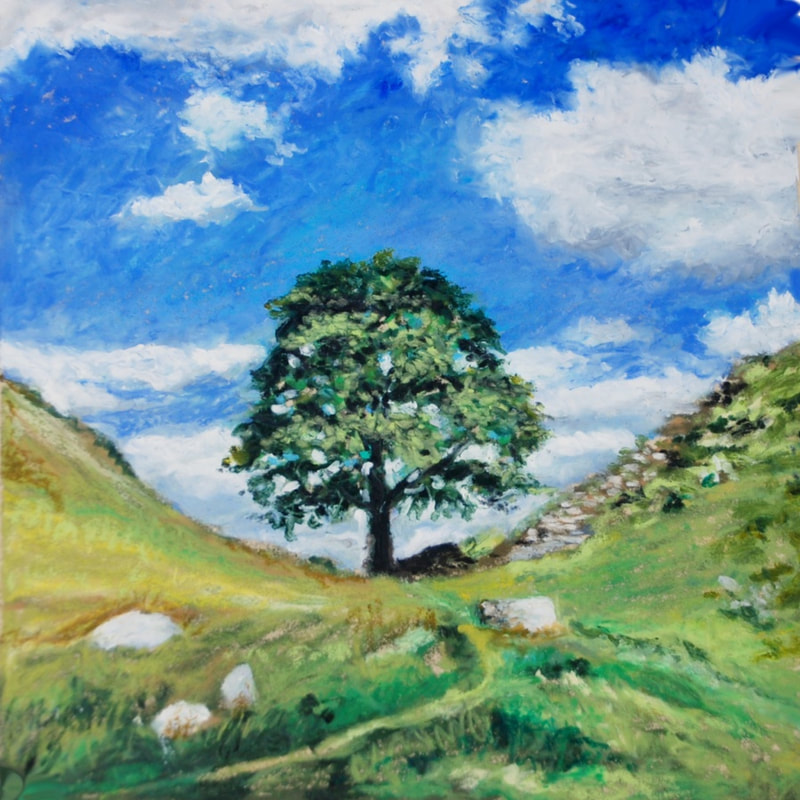 The Sycamore Gap, Sycamore Tree, Northumberland, UK - Oil pastel painting