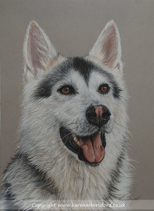  Northern Inuit drawing in coloured pencils
