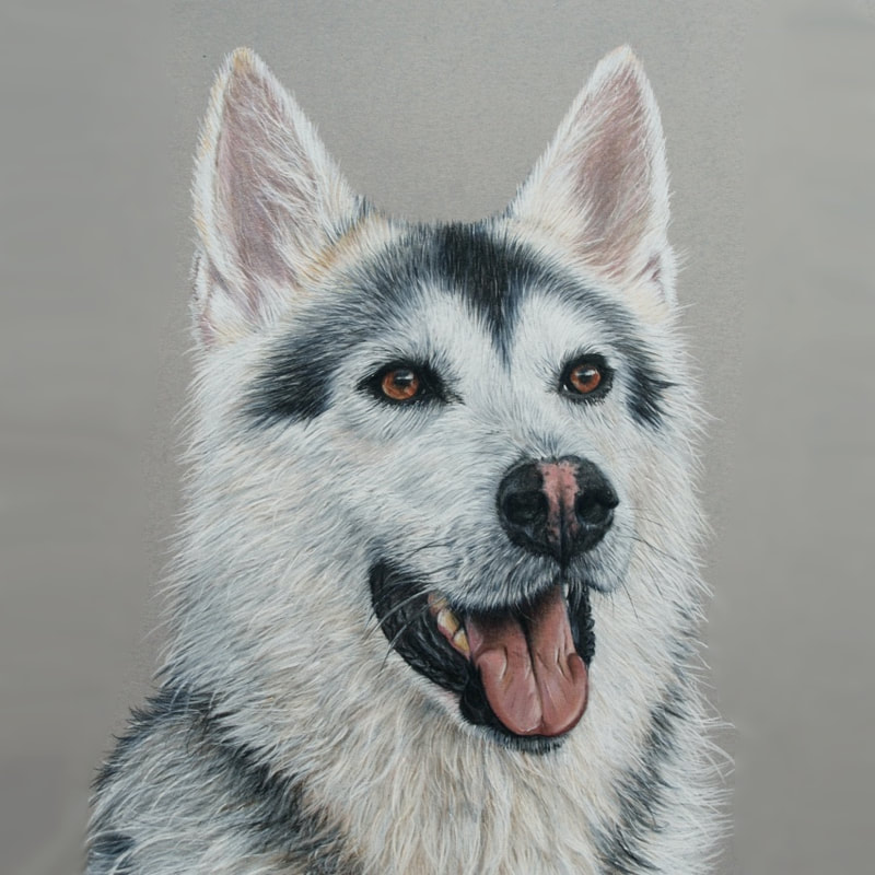 Northern Inuit coloured pencil drawing