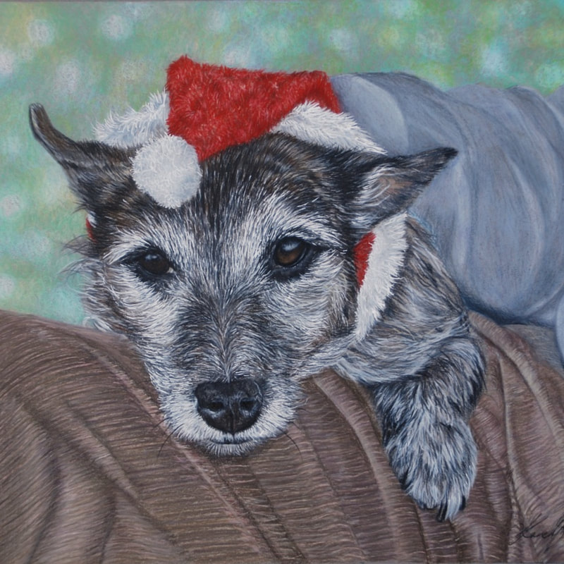 RSPCA Rescue terrier cross dog wearing a santa hat drawn in Coloured pencils