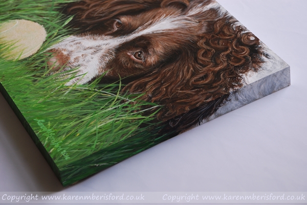 Springer Spaniel acrylic painting on a 22mm Ampersand board