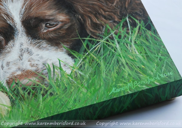 Springer spaniel acrylic painting on ampersand gessobord 22mm