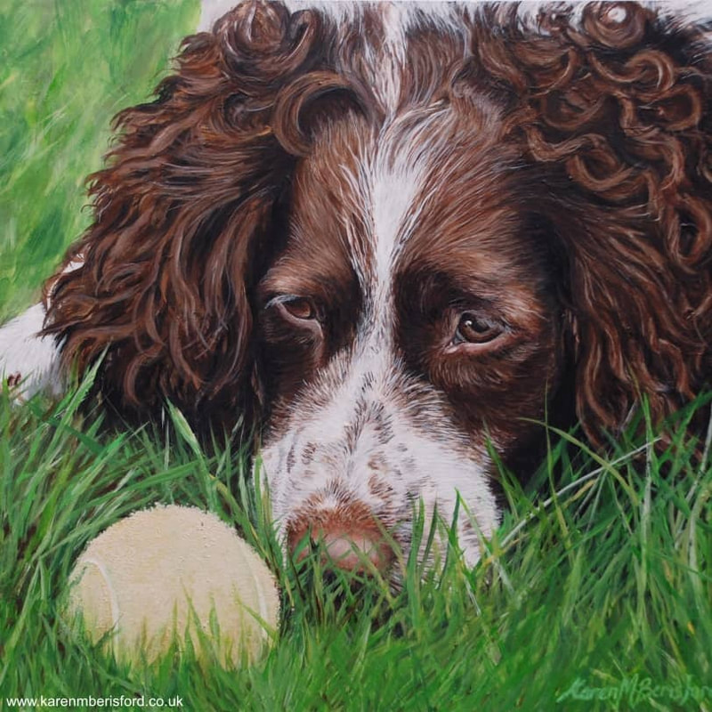 Willow the Springer Spaniel acrylic painting